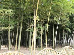 -龙寺生态园