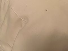 -三亚亚龙湾铂尔曼别墅度假酒店