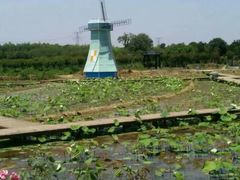 -武汉紫薇都市田园