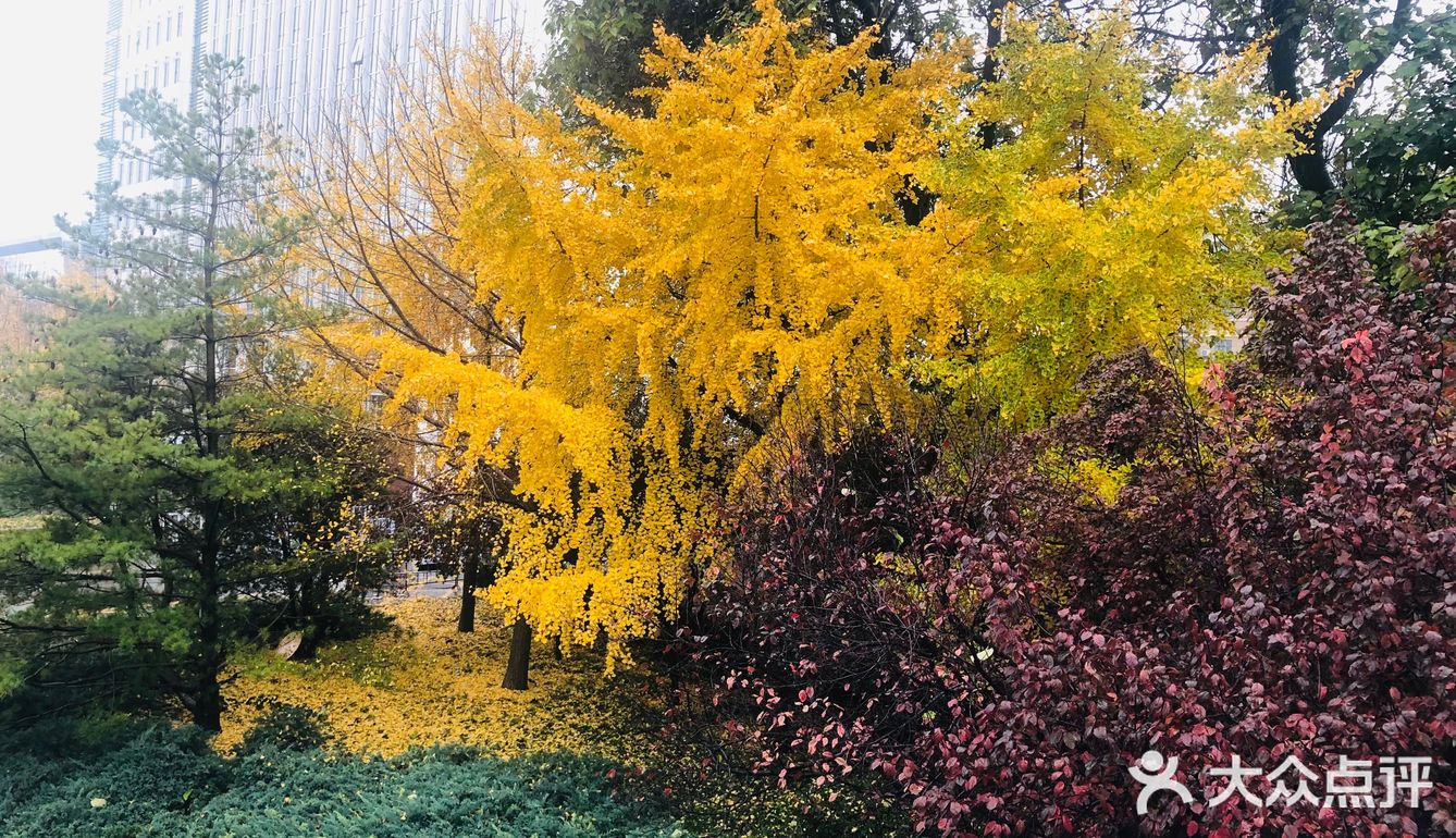 故都的秋