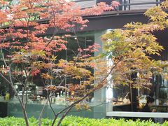 -东湖听涛景区
