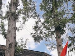 -吾介小籠館