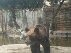 -灵玲国际马戏城