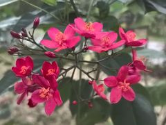 -北海市海滨公园