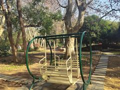 -东湖落雁景区