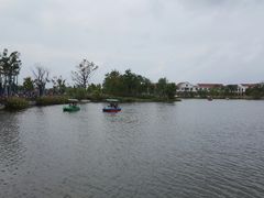 -上海长兴岛郊野公园