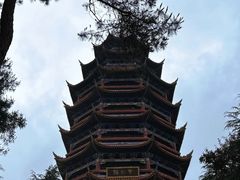 -金水泊山庄·花椒鸡(铁山坪店)