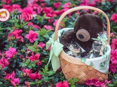 -上海静安香格里拉大酒店