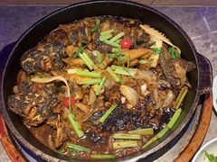 -老板恋上鱼(恒隆广场店)