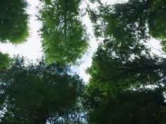 -山王坪喀斯特国家生态公园