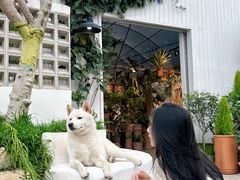 -自由生长植物工作室(深港花卉中心店)