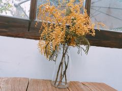 -素咫咖啡CLIFEROSE