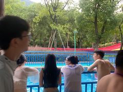 -苏州乐园森林水世界