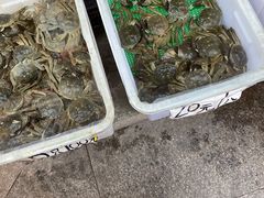 -召稼楼古镇