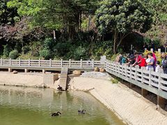 -广州市帽峰山景区