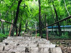 -帽儿山风景区