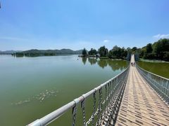 -东湖落雁景区
