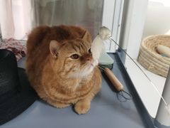 -一间摄影工作室(天安云谷店)