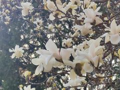 -济南南郊宾馆