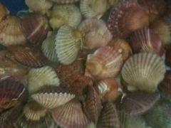 -晓伟海鲜家常菜