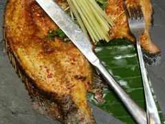 -云海肴·汽锅鸡·云南菜(天津国金汇店)