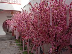 -李香君故居陈列馆