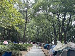 -东湖落雁景区