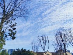 -府河摄影公园
