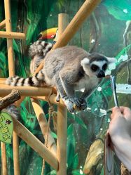 -Zoolung Zoolung动物主题公园(海信广场店)