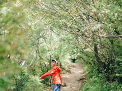-灵山