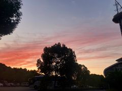 -南京奥林匹克体育中心-体育馆