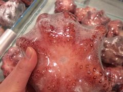 -乐天超市(蚕室店)