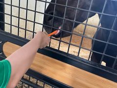 -北京群众马术培训基地