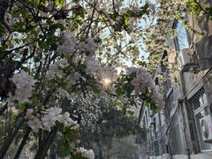 -中央民族大学