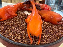 -朱记乳鸽王·非遗石岐乳鸽·全鸽宴(大兴旗舰店)