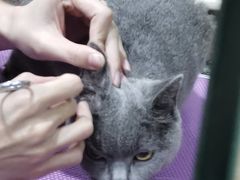 -宠颐生汉谟拉比宠物医院