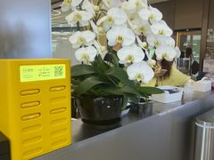 -Z&B Fitness Studio·Gym(前滩L+PLAZA店)