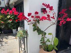 -宿醉·意大利餐厅(忠义街店)