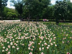 -长春公园(普阳街道)