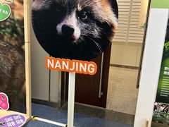 -金陵图书馆