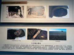 -巴音郭楞蒙古自治州博物馆