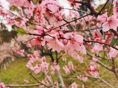 -白塘生态植物园