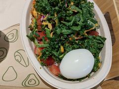 -油梨树 AVOCADO TREE(亮马桥店)