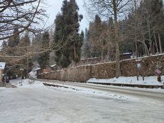 -武陵山森林公园