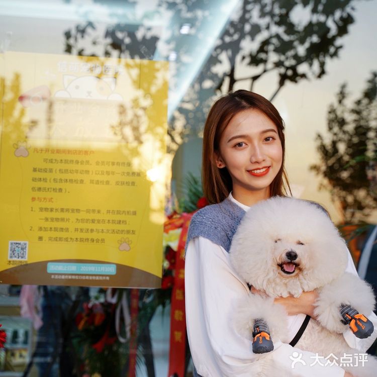 上海宠物医院良心推荐！！！！！！