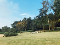 -铁山坪森林公园