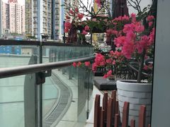 -西西弗书店&矢量咖啡(来福士广场店)