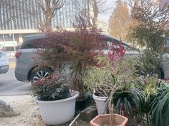 -食悦江南·淮扬菜·烤鸭(亚运村·惠新店)