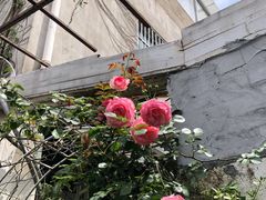 -阿木舂记·特色小吃(平江路店)