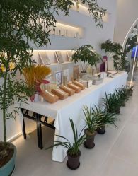 -紫琪尔·匠心连锁·胸部护理养护